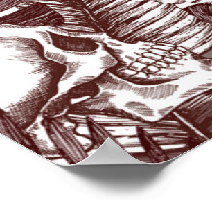 Poster des crânes de la jungle