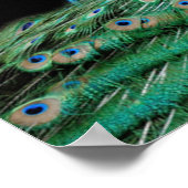 Poster Des créatures éblouissantes (Coin)