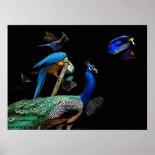 Poster Des créatures éblouissantes