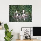 Poster des cygnes et des cygnets (Bureau à domicile)