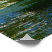 Poster des cygnes noirs (Coin)