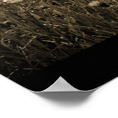 Poster des Dandelions Mist (Coin)