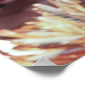 Poster des danseuses balinaises (Coin)