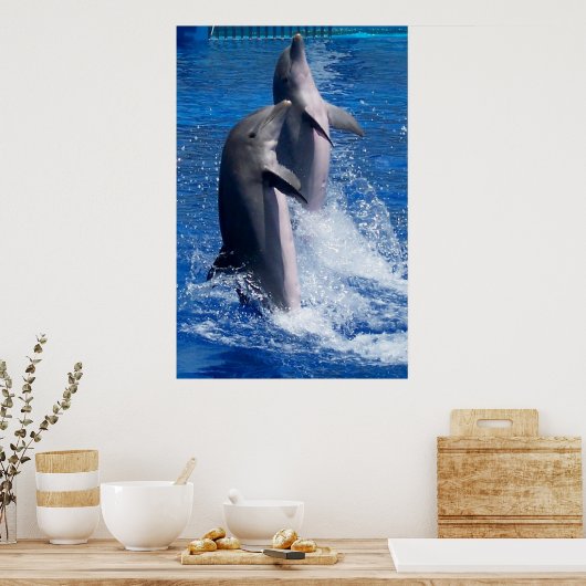 Poster des dauphins (Cuisine)
