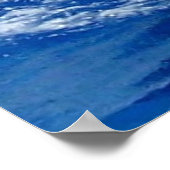 Poster des dauphins (Coin)