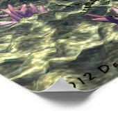 Poster des dauphins de 30 po x 24 po (Coin)