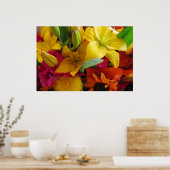 Poster des éclats de couleurs (Cuisine)