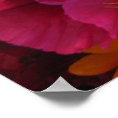 Poster des éclats de couleurs (Coin)