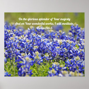 Poster des Écritures Bluebonnet Fleurs