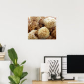 Poster des éponges naturelles (Bureau à domicile)