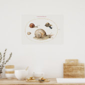 Poster des escargots vintages (Cuisine)