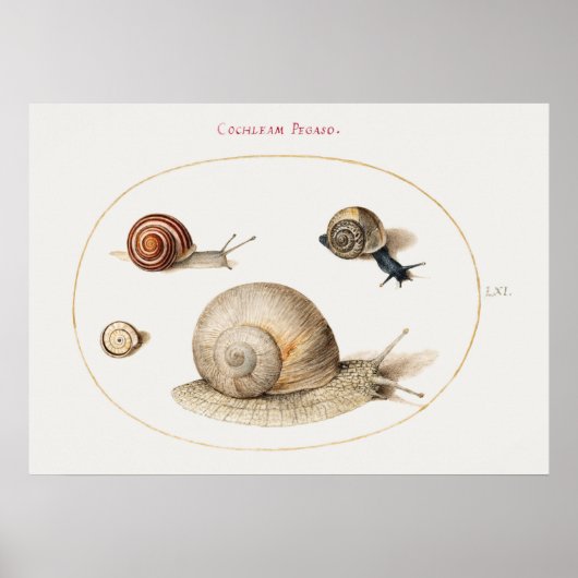 Poster des escargots vintages (Devant)