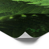 Poster des Esprits Kindred (Coin)