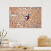 Poster des faisans à col rond (Cuisine)