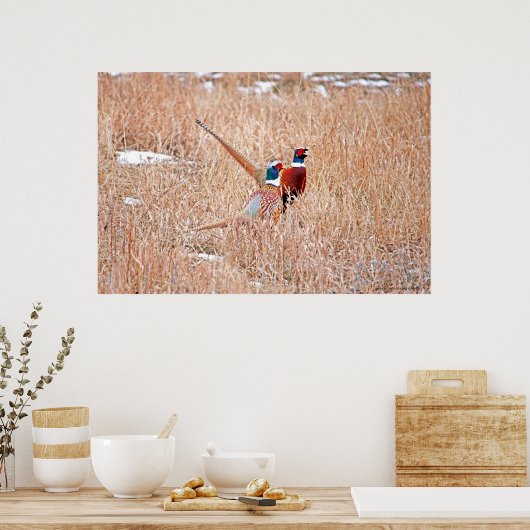 Poster des faisans à col rond (Cuisine)