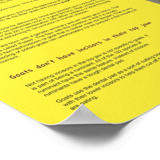 Poster des faits de chèvre 2 (Coin)