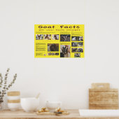 Poster des faits de chèvre 2 (Cuisine)