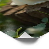 Poster des fées pour bébés Linny & Lane (Coin)