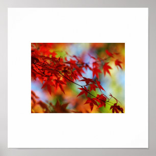 Poster des feuilles d'automne
