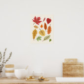 Poster des feuilles d'automne (Cuisine)