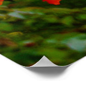 Poster des feuilles d'automne (Coin)