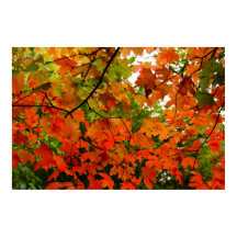 Poster des feuilles d'automne