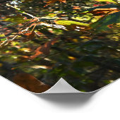 Poster des feuilles d'automne (Coin)