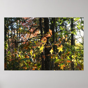 Poster des feuilles d'automne