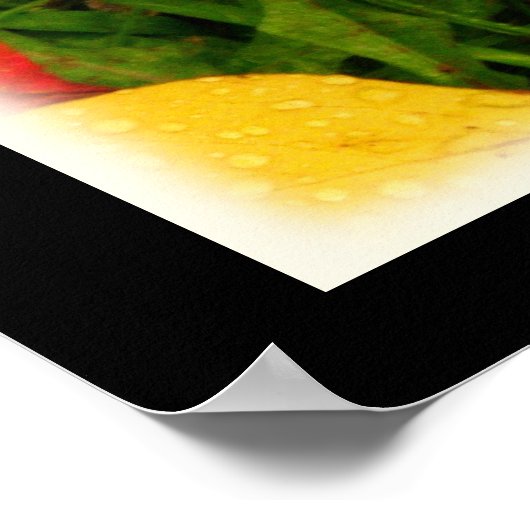 Poster des feuilles d'automne des chutes de pluie (Coin)