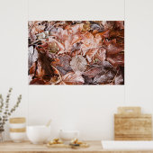 Poster des Feuilles de l'érable congelé (Cuisine)