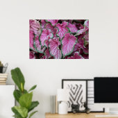 Poster des Feuilles du Caladium rose en grappe (Bureau à domicile)