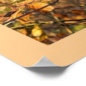 Poster des feuilles et des baies d'automne (Coin)