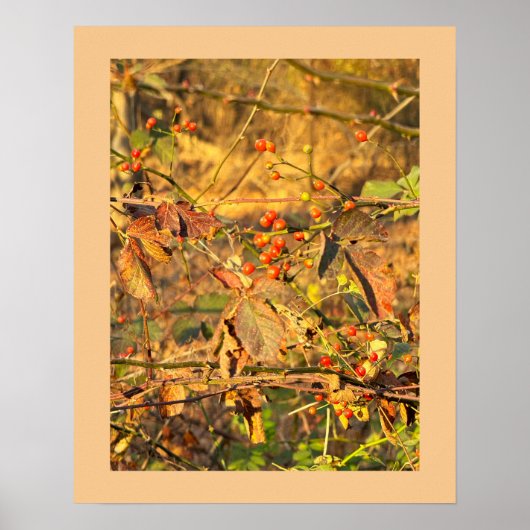 Poster des feuilles et des baies d'automne (Devant)