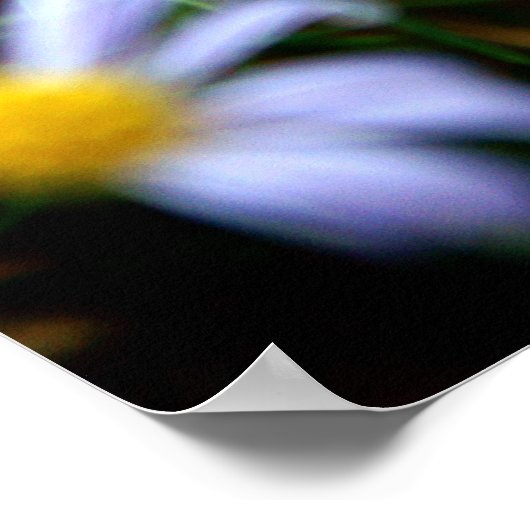 Poster des fleurs (Coin)