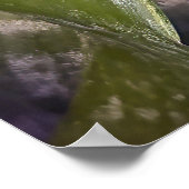 Poster des fleurs (Coin)