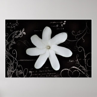 Poster des fleurs