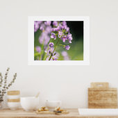 Poster des fleurs (Cuisine)