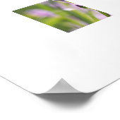 Poster des fleurs (Coin)