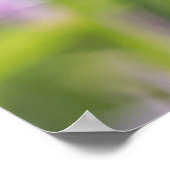 Poster des fleurs (Coin)