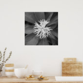Poster des fleurs (Cuisine)