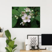 Poster des fleurs Blackberry (Bureau à domicile)