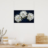 Poster des fleurs blanches (Cuisine)