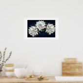 Poster des fleurs blanches (Cuisine)