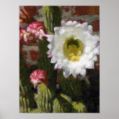 Poster des fleurs de Cactus (Devant)