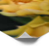 Poster des fleurs de cactus jaunes (Coin)