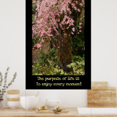 Poster des fleurs de cerisiers (Cuisine)