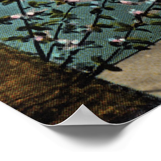 Poster des fleurs de cerisiers à Washington DC (Coin)