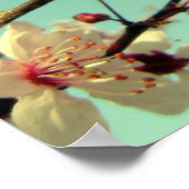 Poster des fleurs de cerisiers dans le ciel (Coin)