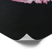 Poster des fleurs de conation (Coin)