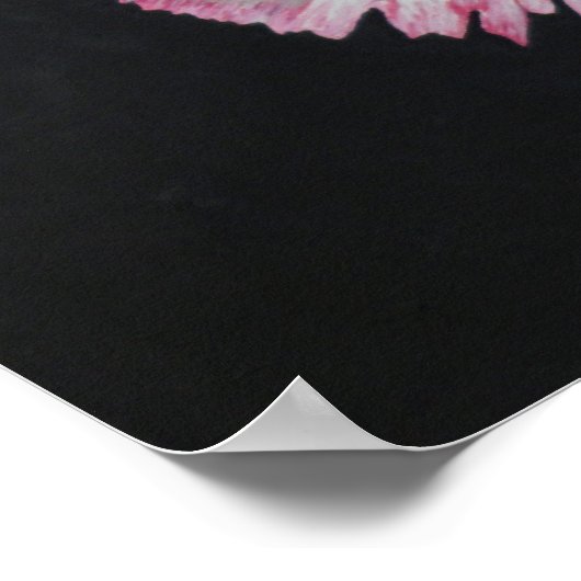 Poster des fleurs de conation (Coin)